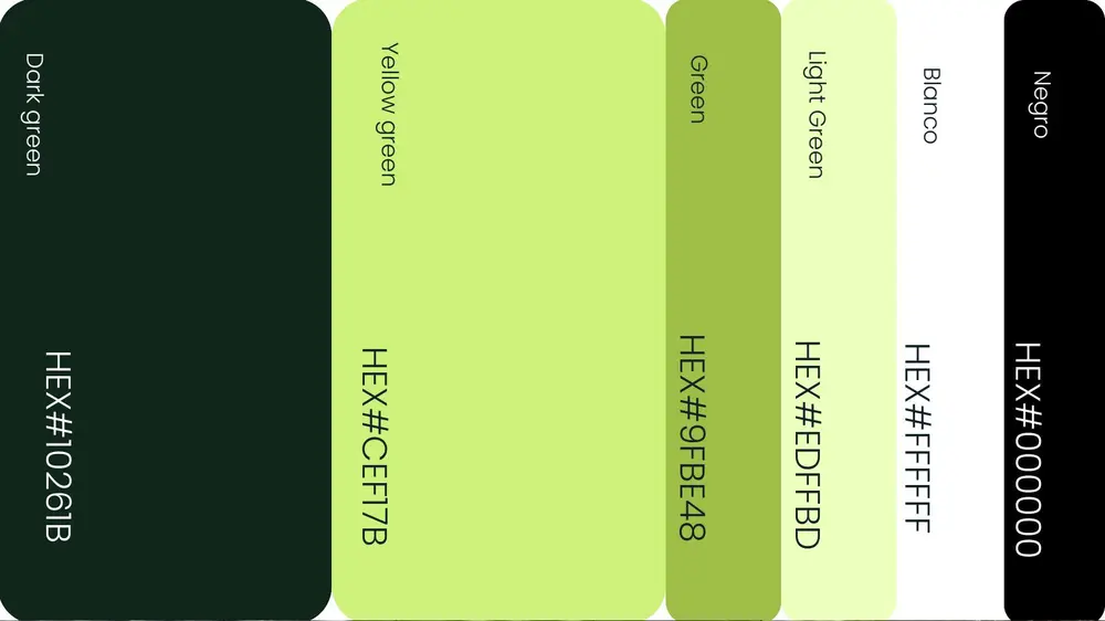 Ponto Alto — Paleta de colores